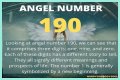 
ANGEL NUMBER 190
