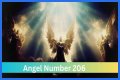 
ANGEL NUMBER 206
