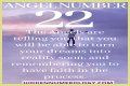 
ANGEL NUMBER 22
