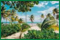 Best Costa Maya Beaches to Visit