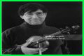David Shapiro (musician)