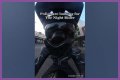 Night Rider Arrested, What Happened To Night Rider?