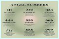 
Repeating Angel Numbers - 3's and 6's  (3366, 3636, 6633, 6363 etc)
