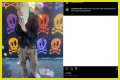 Who is Miles Pfeffer? And Know Some Facts About Miles Pfeffer!!!