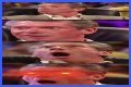 WWE Fans Cannot Believe Their Eyes After Seeing Vince McMahon All Jacked Up at
76