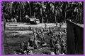 WWII's Most Daring Raids - Smithsonian Channel